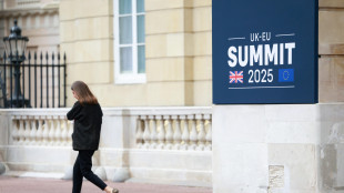 Fonti Ue, 'con Gb &egrave; svolta, verso partenariato strategico'