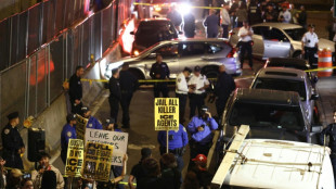 La polic&iacute;a migratoria hiere de bala a un dominicano en Nueva York