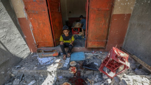 Israel not involved in Gaza food distribution under US aid plan: envoy