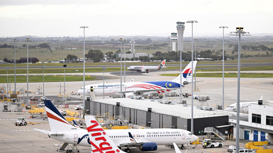 Serpente a bordo di un aereo in Australia, volo bloccato
