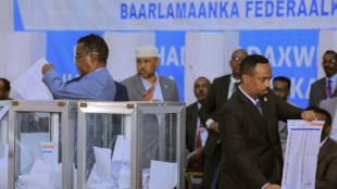 Somalia soll mit neuem Wahlrecht demokratischer werden