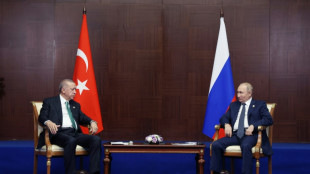 Türkische Regierung stellt neues Erdgas-Projekt mit Russland infrage