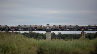 En Afrique du Sud, un voyage immobile au-dessus de la savane