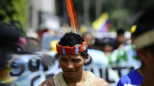 Corte de Ecuador da un paso a la consulta para frenar la extracci&oacute;n de crudo en la Amazonia