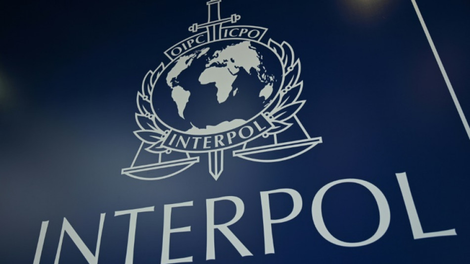 West asks for Russia to be suspended from Interpol