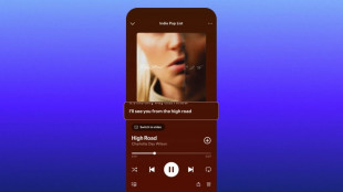 Su Spotify i testi delle canzoni disponibili anche offline