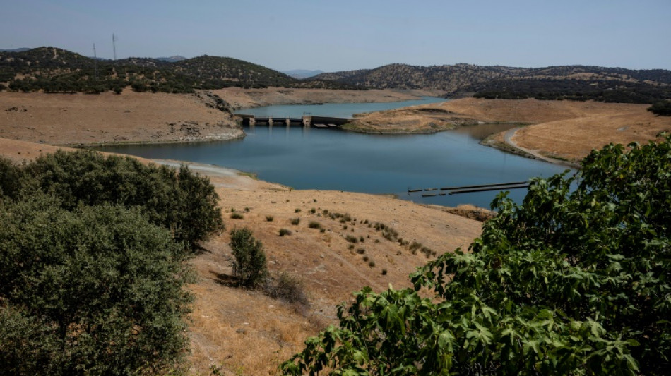 La sequía potencia las tensiones sobre la gestión del agua en España