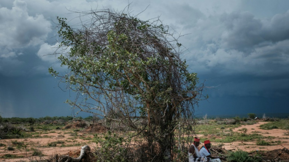 Je&ucirc;ne mortel dans une secte au Kenya: le bilan atteint 90 morts, les recherches suspendues