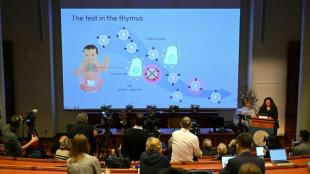 What are regulatory T-cells? Nobel-winning science explained