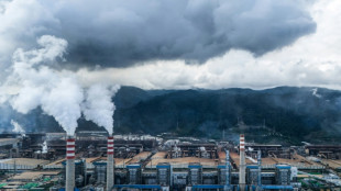 En Indon&eacute;sie, un peuple autochtone "encercl&eacute;" par l'industrie mini&egrave;re