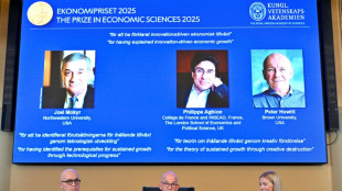 Ganador del Nobel de Econom&iacute;a advierte sobre los riesgos de la IA