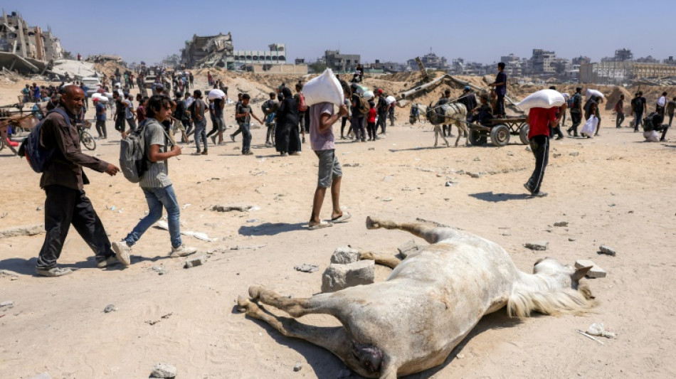 El enviado de Trump ir&aacute; el viernes a Gaza para inspeccionar la distribuci&oacute;n de la ayuda