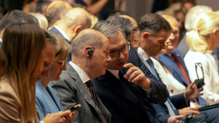 Scholz trifft sich mit serbischem Pr&auml;sidenten f&uuml;r Gespr&auml;che &uuml;ber Lithium