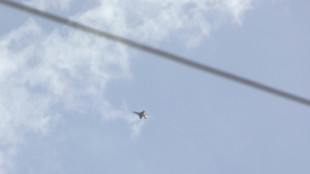 Israel afirma que bombarde&oacute; el sur de Siria en respuesta al disparo de proyectiles