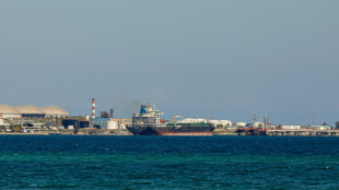 Empresas privadas buscan importar combustible ante la crisis energ&eacute;tica en Cuba