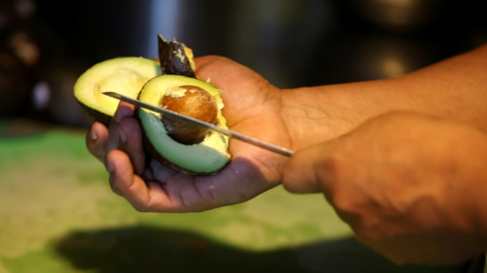 US resumes avocado imports from Mexico
