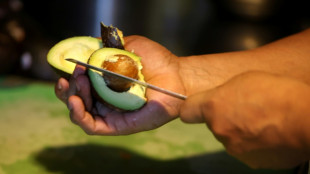 USA stoppen nach Drohung gegen Lebensmittelkontrolleur Avocado-Einfuhr aus Mexiko