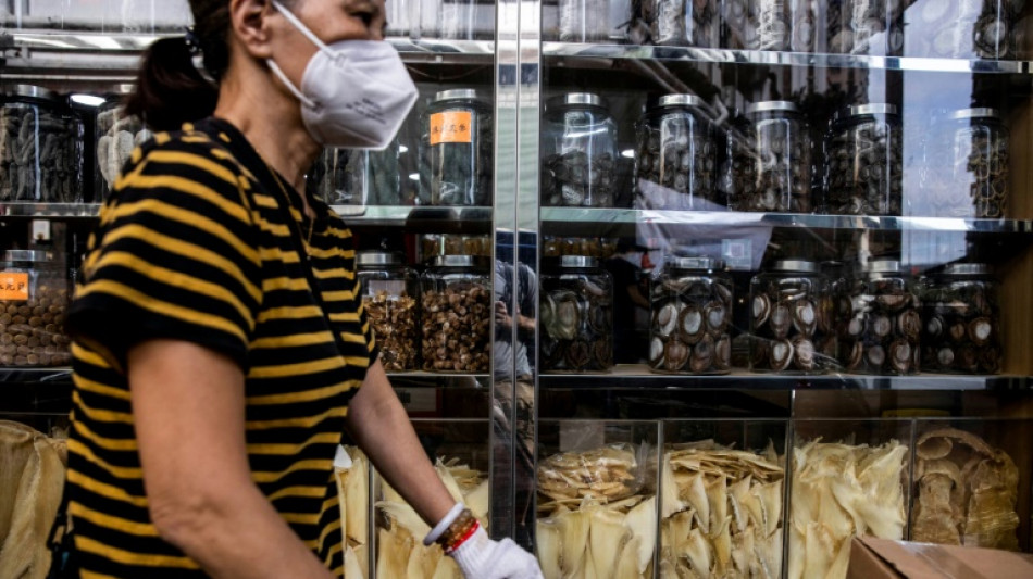 Wildlife summit could upend Hong Kong's shark fin trade