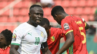 Afrika-Cup: Senegal und Guinea im Achtelfinale - Sensationssieg für Komoren