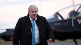 Johnson will Zahl britischer Soldaten in Osteuropa verdoppeln