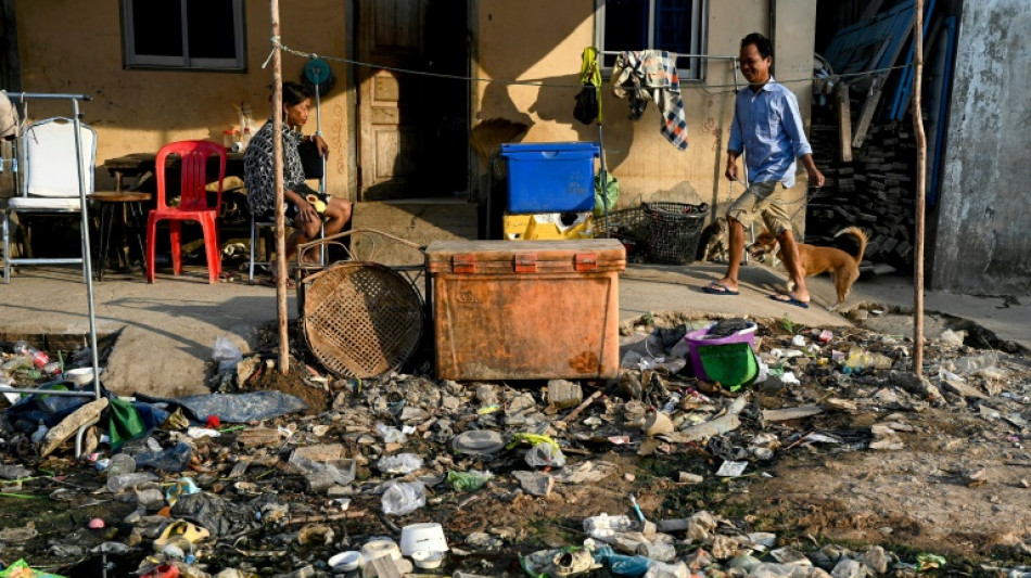 Derri&egrave;re les cr&eacute;dits plastique, l'incin&eacute;ration des d&eacute;chets