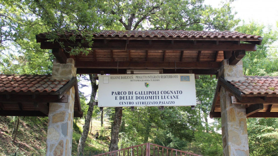 Tracciabilit&agrave; satellitare su tre cicogne nere nate in Basilicata