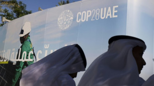 Coup d'envoi d'une COP hors norme &agrave; Duba&iuml;