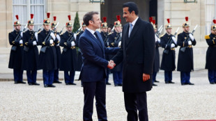L'&eacute;mir du Qatar d&eacute;bute une visite d'Etat en France