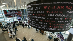 La Bourse de Paris patiente face &agrave; l'instabilit&eacute; politique