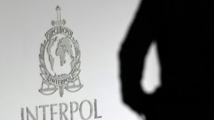 Veinte detenidos en un operativo internacional contra la pornograf&iacute;a infantil