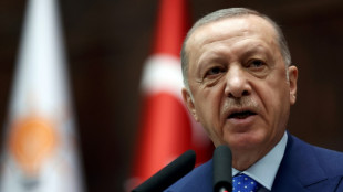 Erdogan telefoniert am Samstag mit Nato-Generalsekretär Stoltenberg