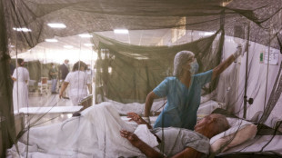 'Meu medo era perder meus bebês' para a dengue, diz uma grávida no Peru