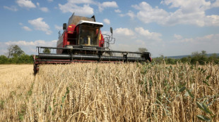 Getreide-Beschränkungen: Ukraine klagt vor WTO gegen Polen, Slowakei und Ungarn