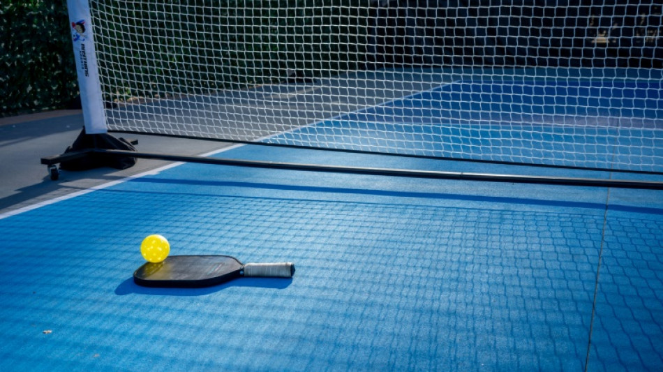 Ecologistas espa&ntilde;oles denuncian las muertes de p&aacute;jaros causadas por canchas de p&aacute;del