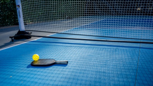 Ecologistas espa&ntilde;oles denuncian las muertes de p&aacute;jaros causadas por canchas de p&aacute;del