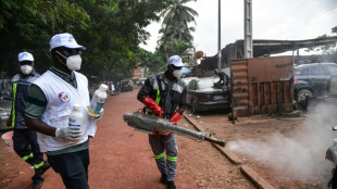 M&aacute;s de 200 muertos por dengue desde el 1 de enero en Burkina Faso