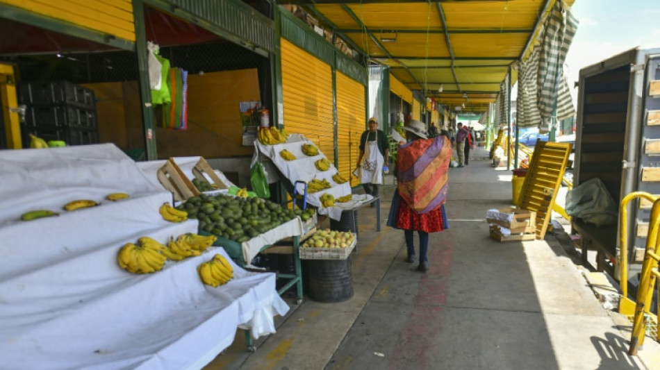 Peru faces food, fuel shortages as Boluarte defiant