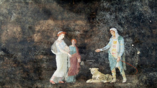 Pompeji: Archäologen entdecken Fresken mit Bildern zum trojanischen Krieg
