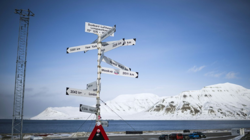 Un oso polar hiere a una turista en un archipi&eacute;lago noruego en el &Aacute;rtico