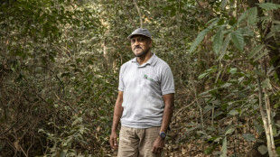 Bala Amarasekaran, une vie au chevet des chimpanzés de Sierra Leone