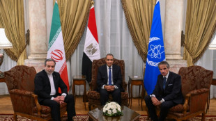 Nucl&eacute;aire: l'Iran et l'AIEA conviennent d'un nouveau cadre de coop&eacute;ration