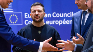 Zelensky, 'Trump si &egrave; detto d'accordo su Kiev nella Nato'