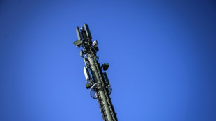 "Fall", el vertiginoso thriller que borr&oacute; las palabrotas de sus protagonistas