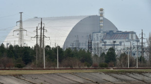 IAEA verliert Verbindung zu Überwachungsgeräten in Tschernobyl