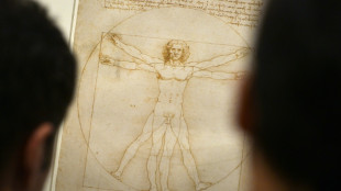 Italien unterliegt erneut in Rechtsstreit mit Ravensburger um Da-Vinci-Puzzle-Motiv