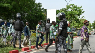 C&ocirc;te d'Ivoire: le principal parti d'opposition vote pour &eacute;lire son nouveau chef 
