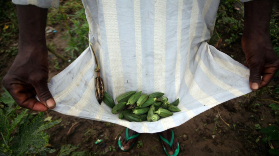 Des plantes pourraient permettre de filtrer le microplastique des eaux us&eacute;es