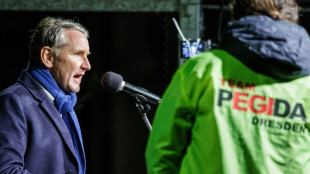 Anklage gegen Thüringer AfD-Politiker Höcke wegen Verwendens von NS-Vokabular