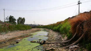 Irak: les r&eacute;serves d'eau au plus bas depuis 80 ans, selon le gouvernement