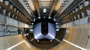 Ensayan una c&aacute;psula 'hyperloop' en Pa&iacute;ses Bajos para conectar ciudades europeas en pocas horas